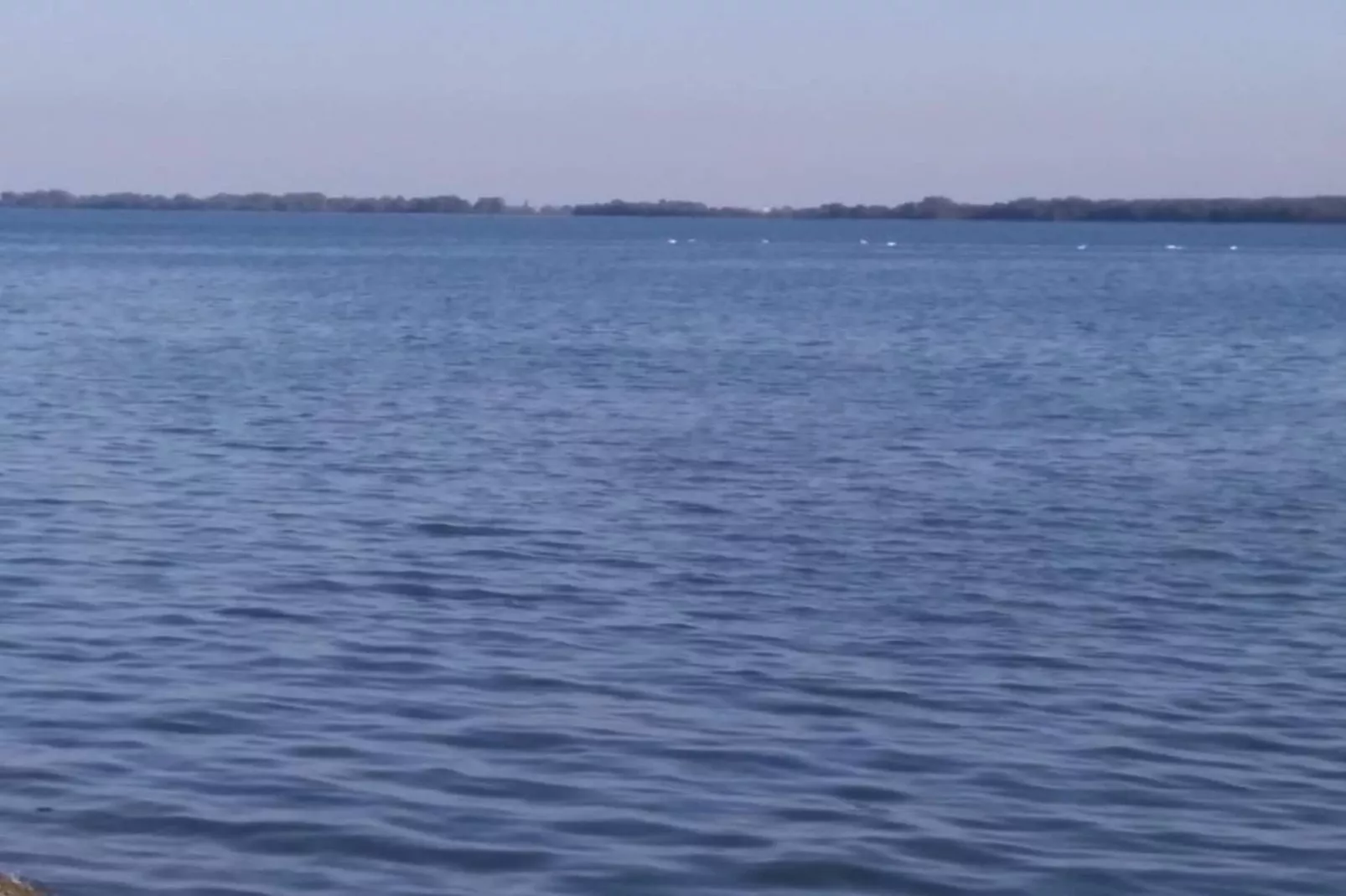 Villa Medvidici-Gebieden zomer 20km