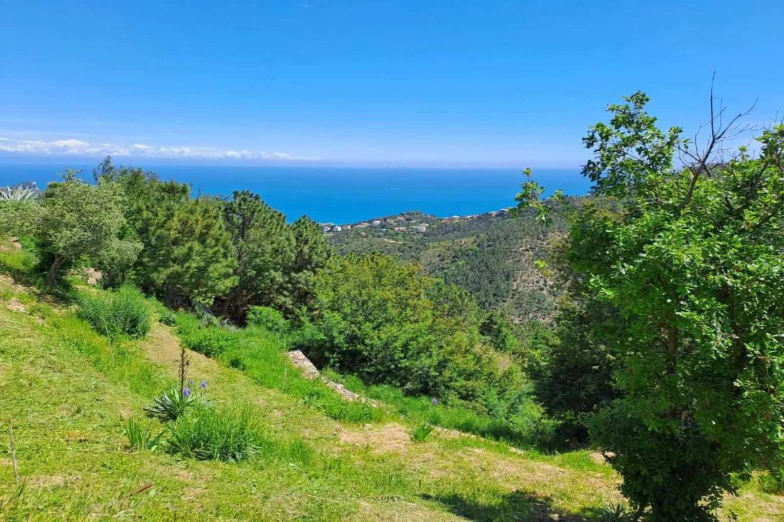 Nidino del Gufo-Gebieden zomer 20km