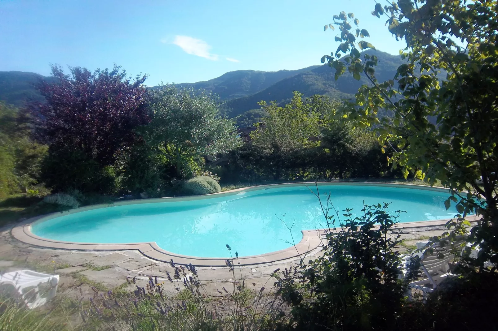 San Godenzo Casa Grande 1-Zwembad