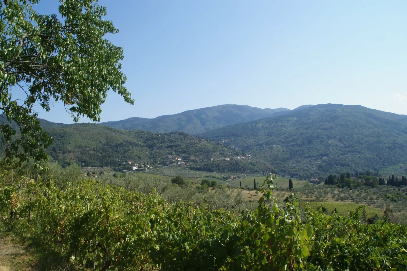 Il Ciliegio-Gebieden zomer 1km