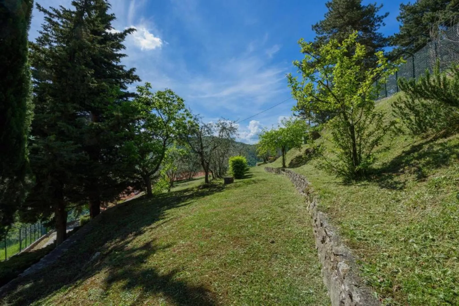 Sangiovese-Gebieden zomer 20km