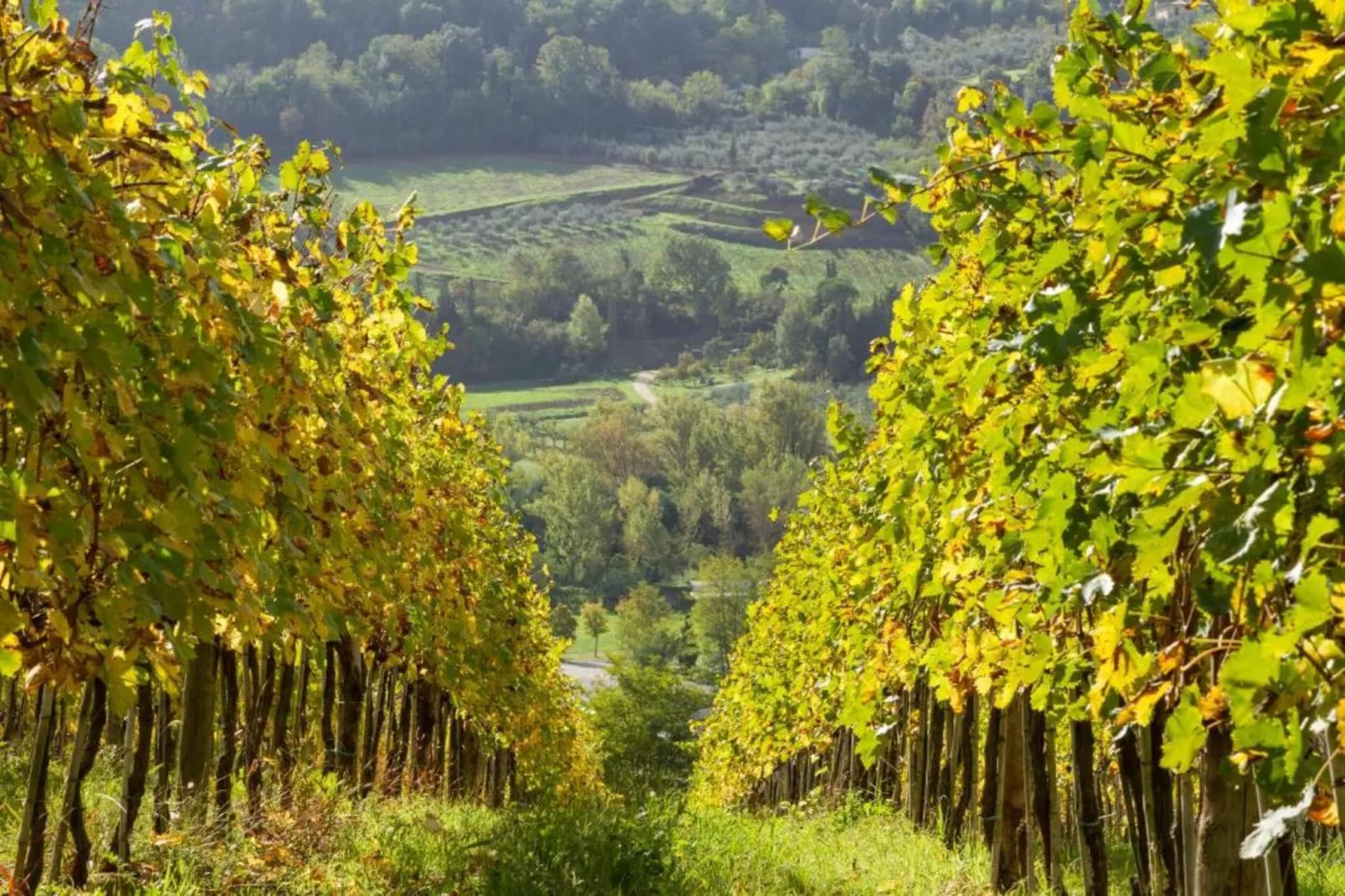 Country Resort Il Frassine-Gebieden zomer 20km