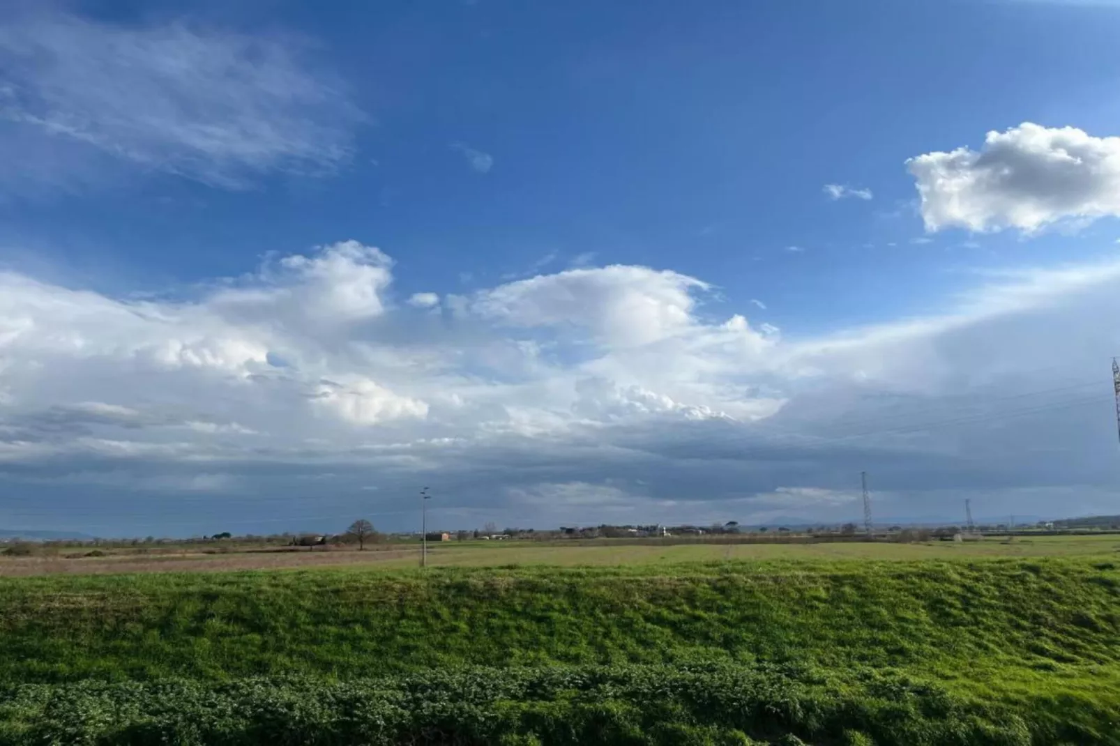 Orchidea-Gebieden zomer 20km