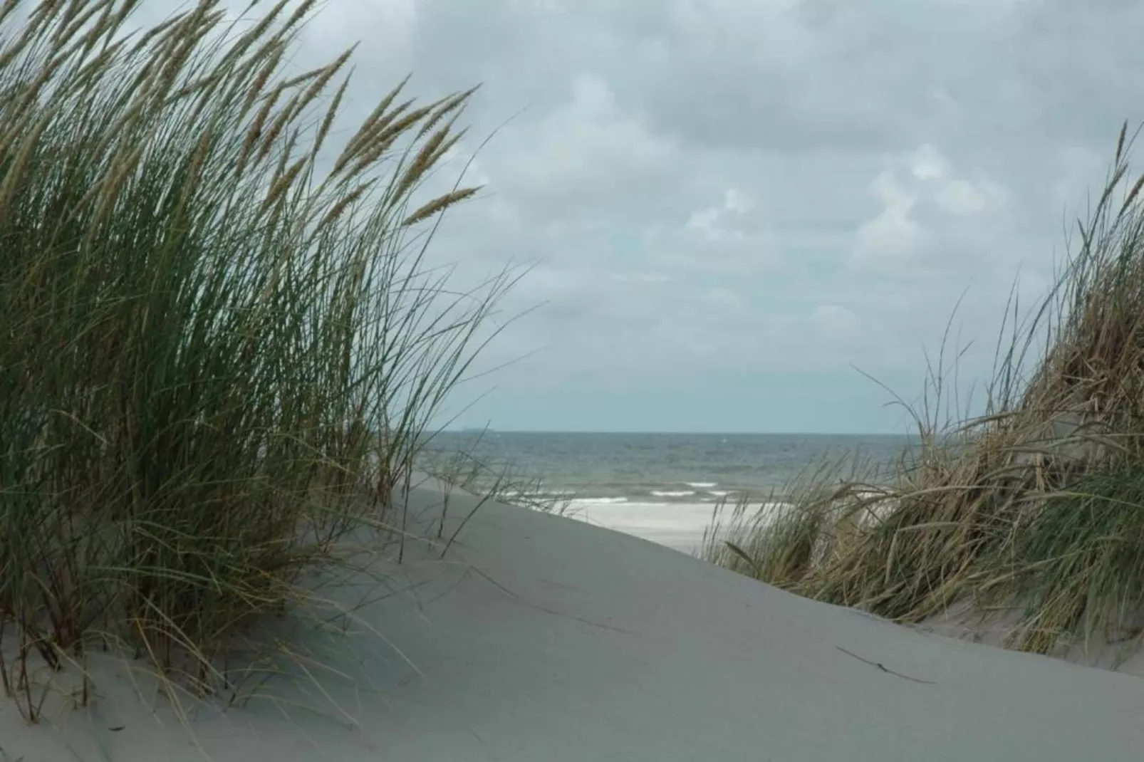 Duindroom op Terschelling-Gebieden zomer 20km