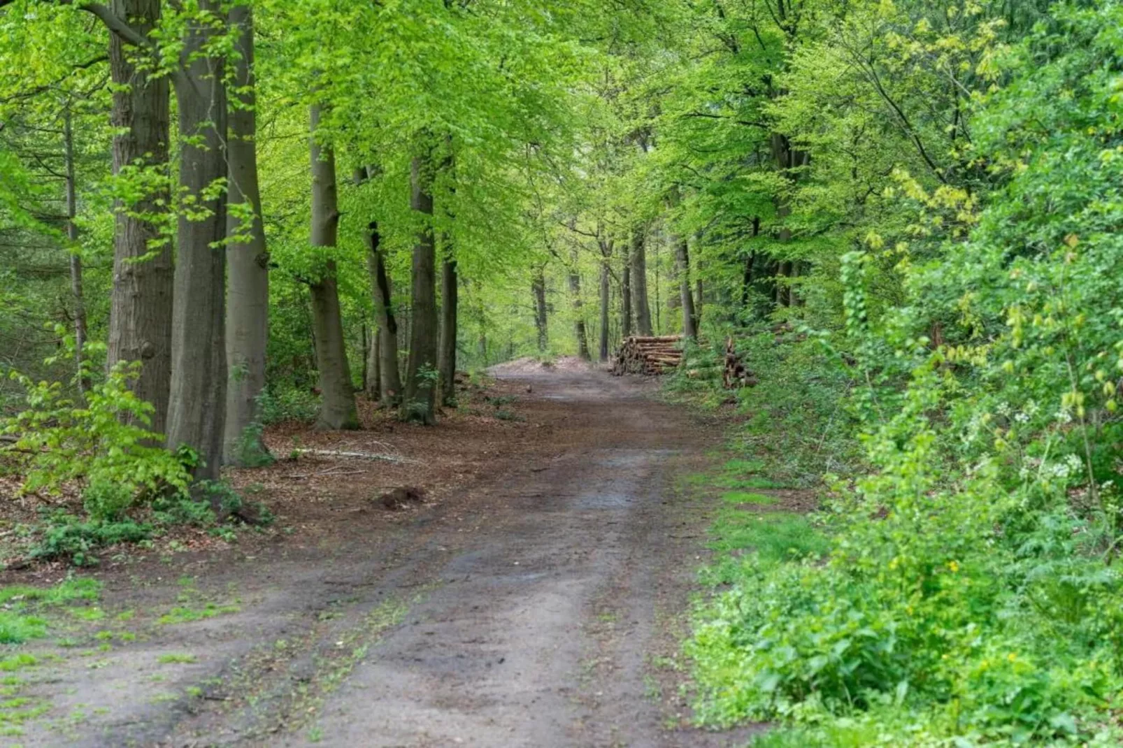 Poort naar de Veluwe-Gebieden zomer 5km