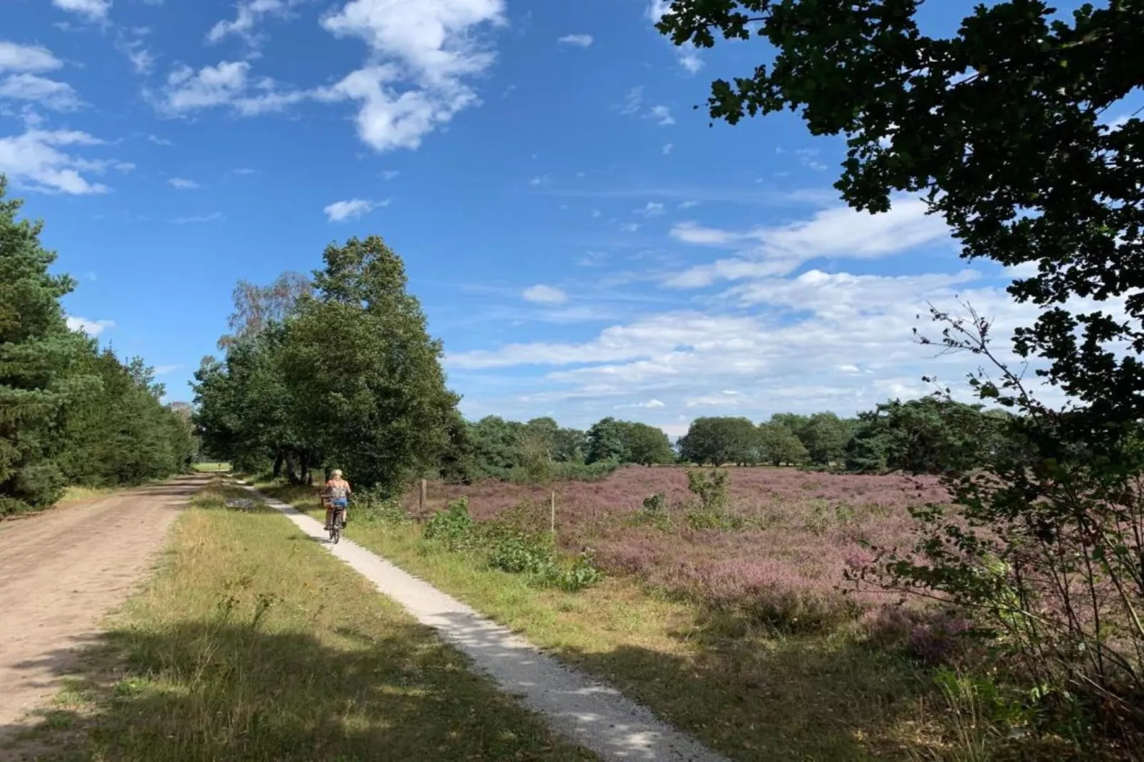 Ons Nestje-Gebieden zomer 20km