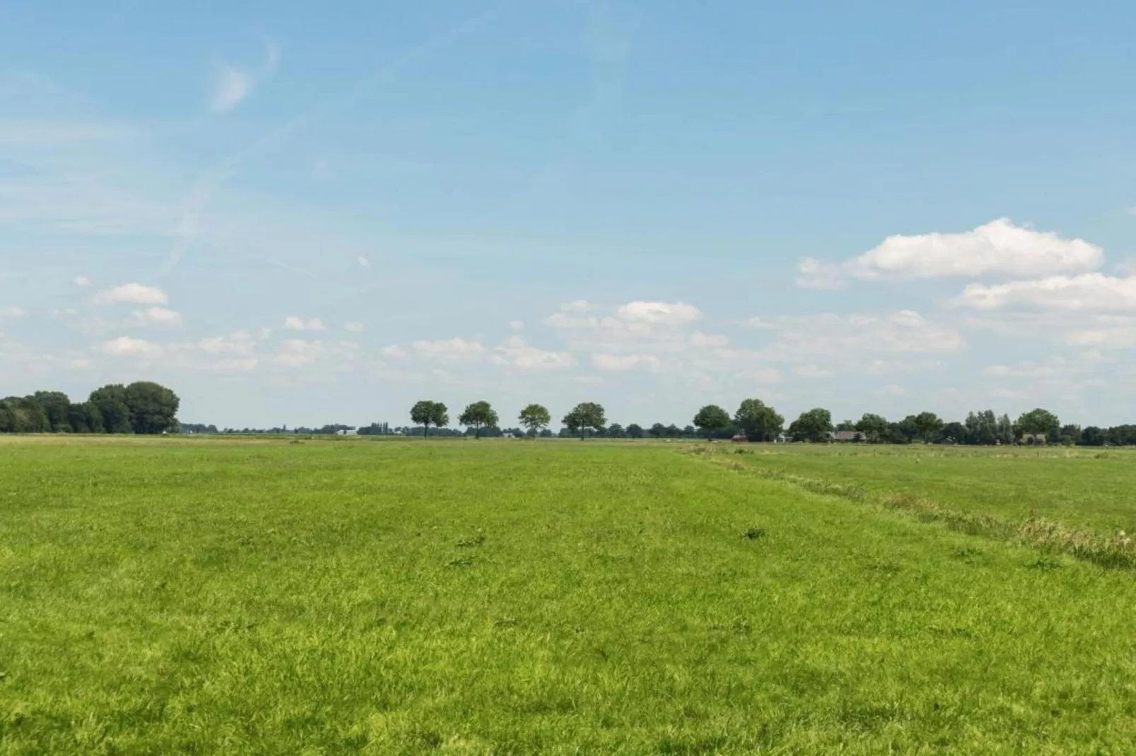 Weidse Blik-Gebieden zomer 20km