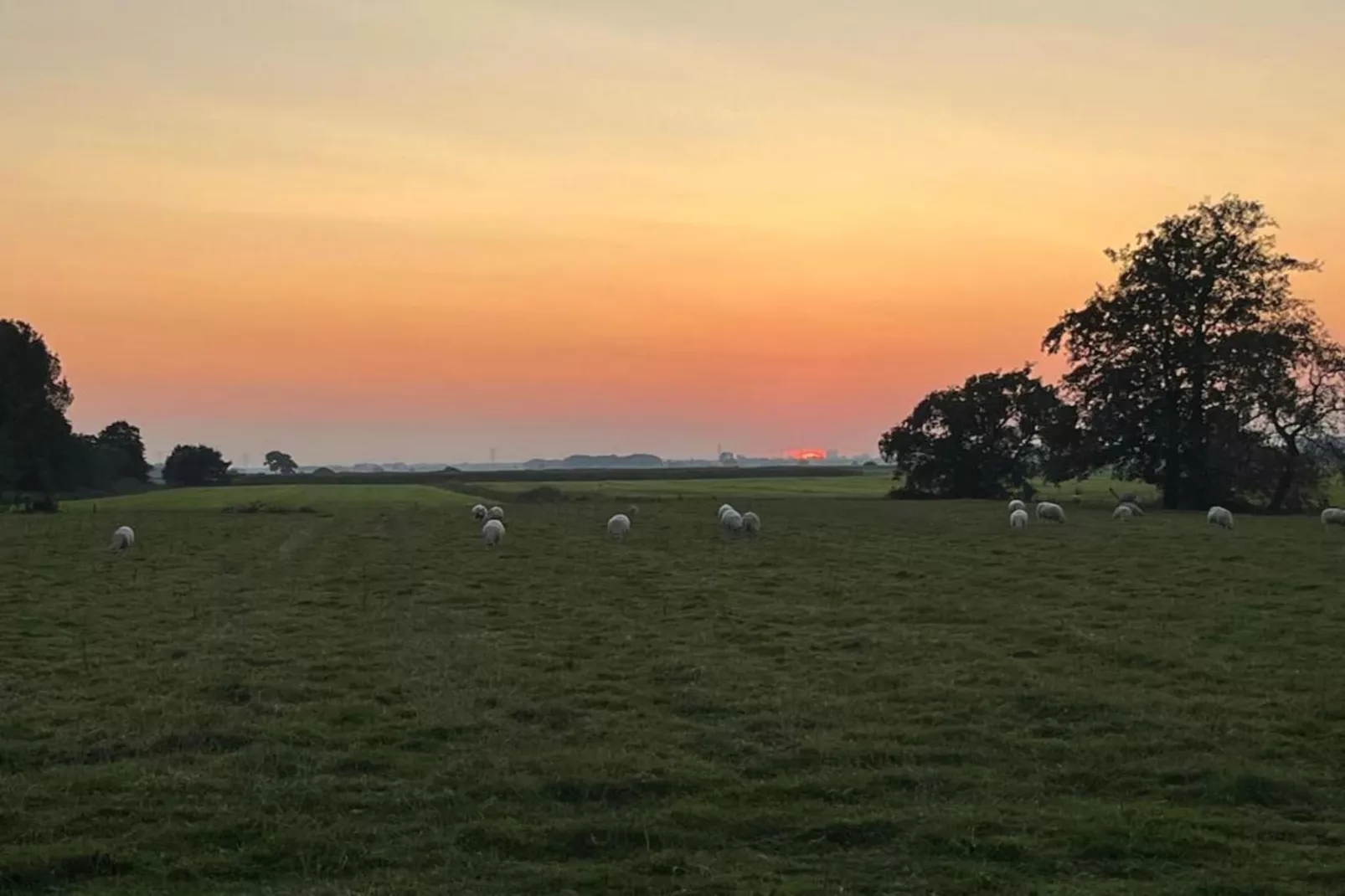 Wadden Festijn-Gebieden zomer 20km