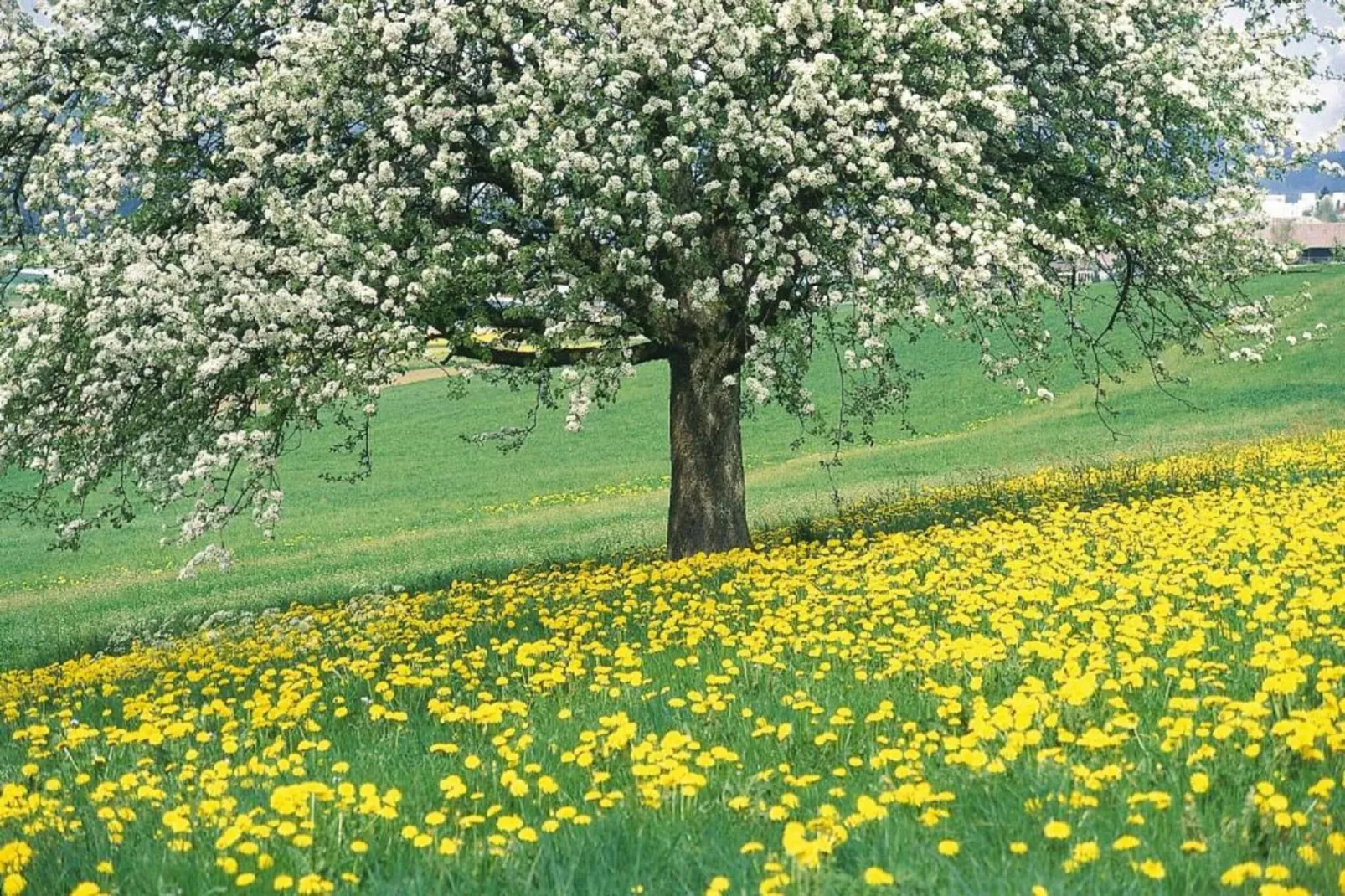 Herenhoeve de Bockhof-Gebieden zomer 20km