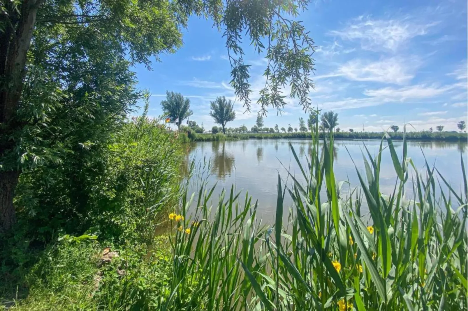 Vakantiehuis De Weide Blick-Gebieden zomer 5km