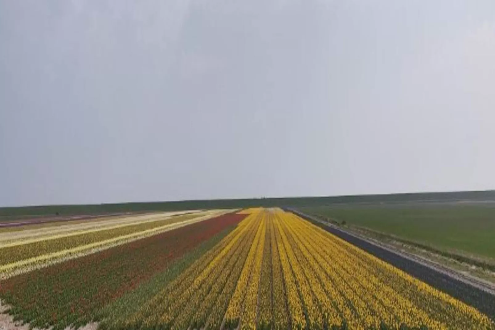Vakantiepark de Krim 9-Gebieden zomer 20km