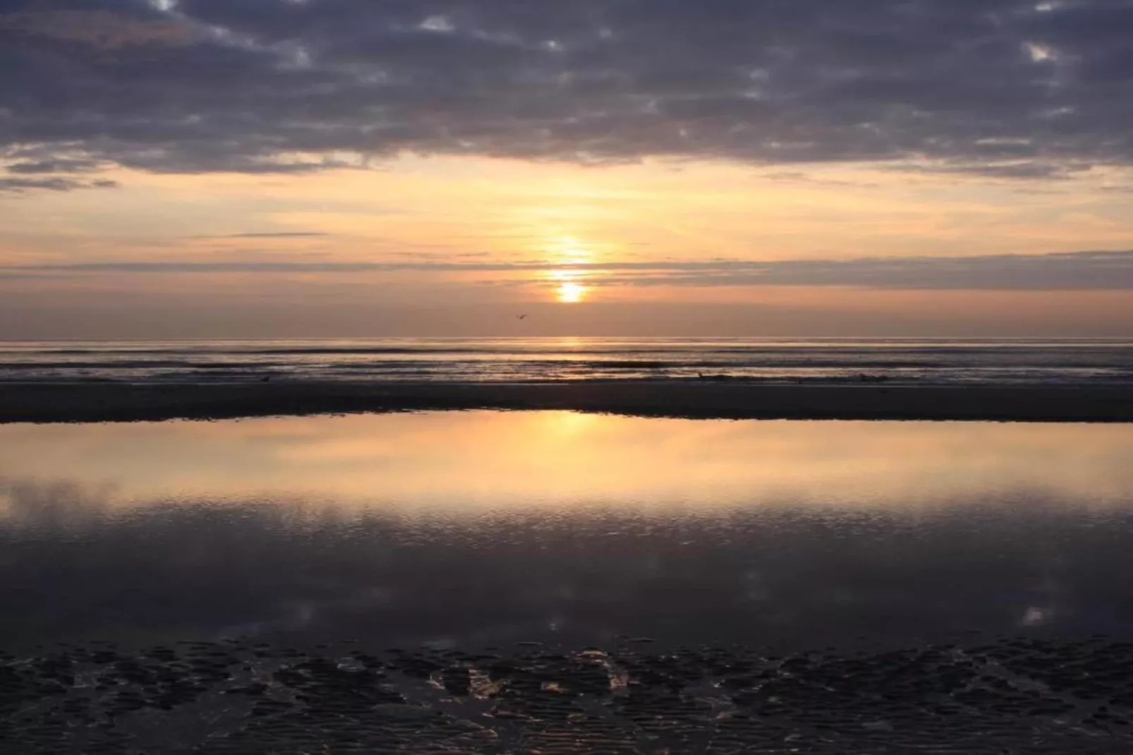 Residentie Californië 6-Gebieden zomer 20km