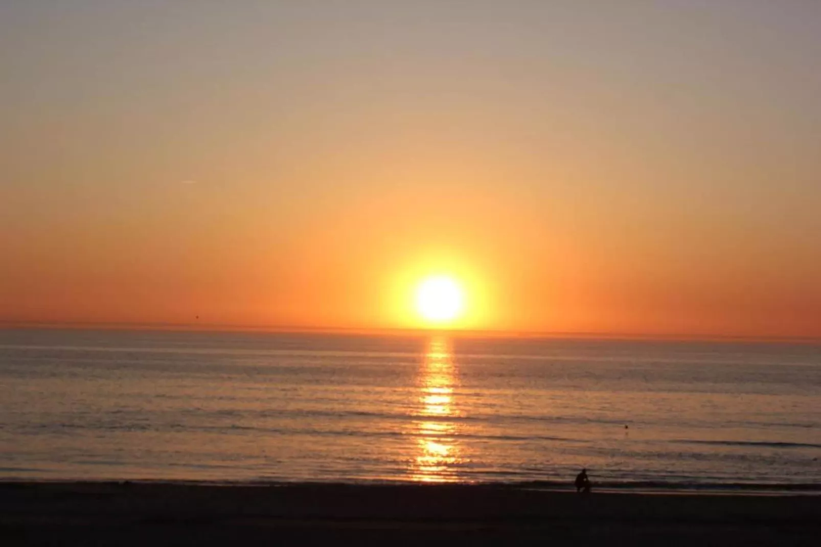 Kustpark Texel 5-Gebieden zomer 20km