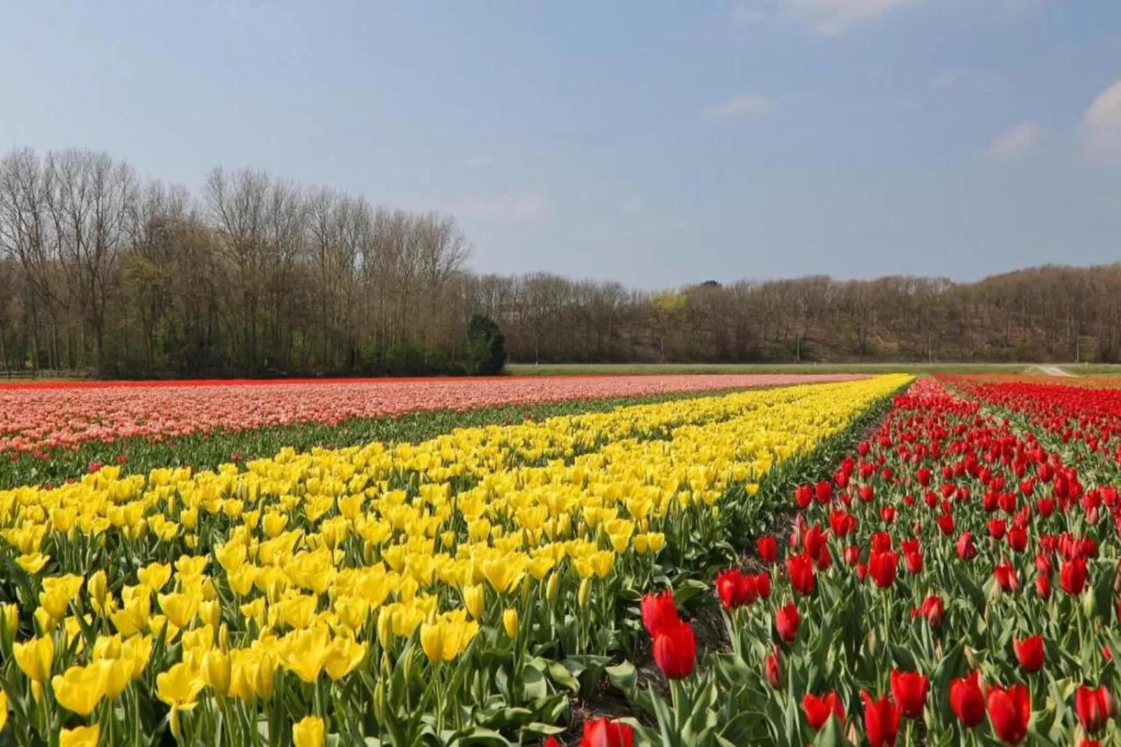 Bungalowpark 't Lappennest 3-Gebieden zomer 5km
