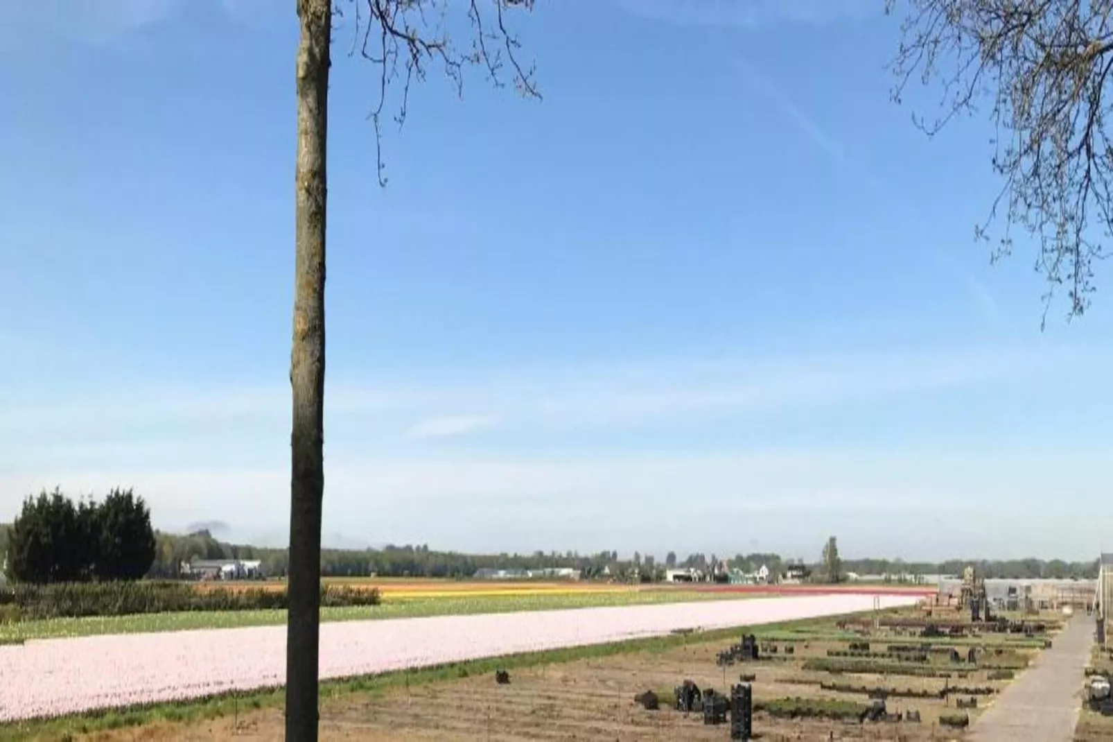 Patchwork-Gebieden zomer 20km