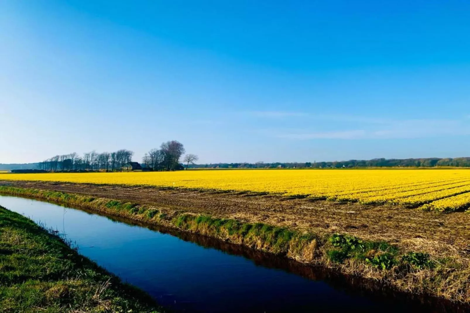 De Schone Leij-Gebieden zomer 20km