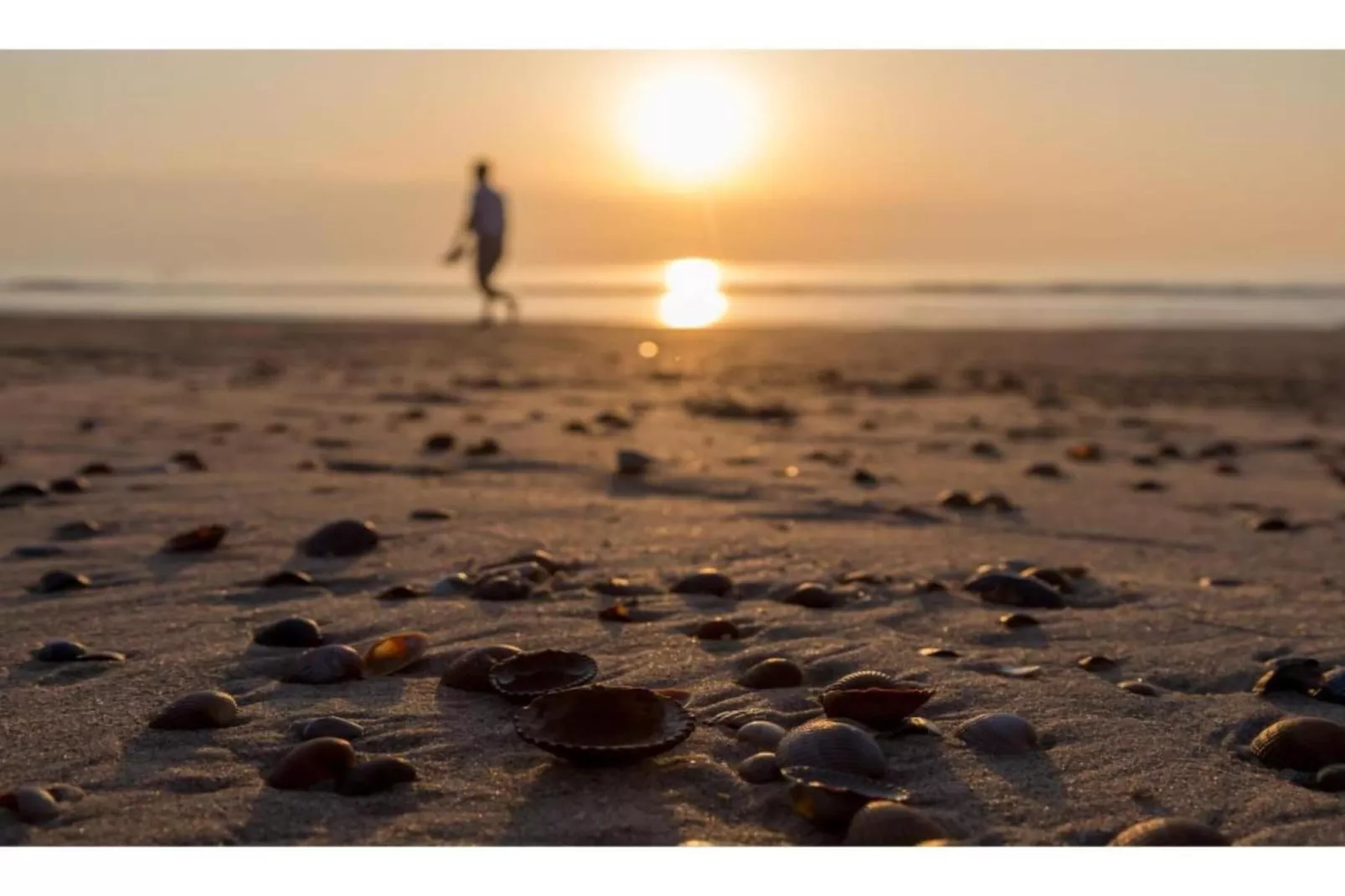 Vakantiepark Hof Domburg 22 - Gebieden zomer 20km