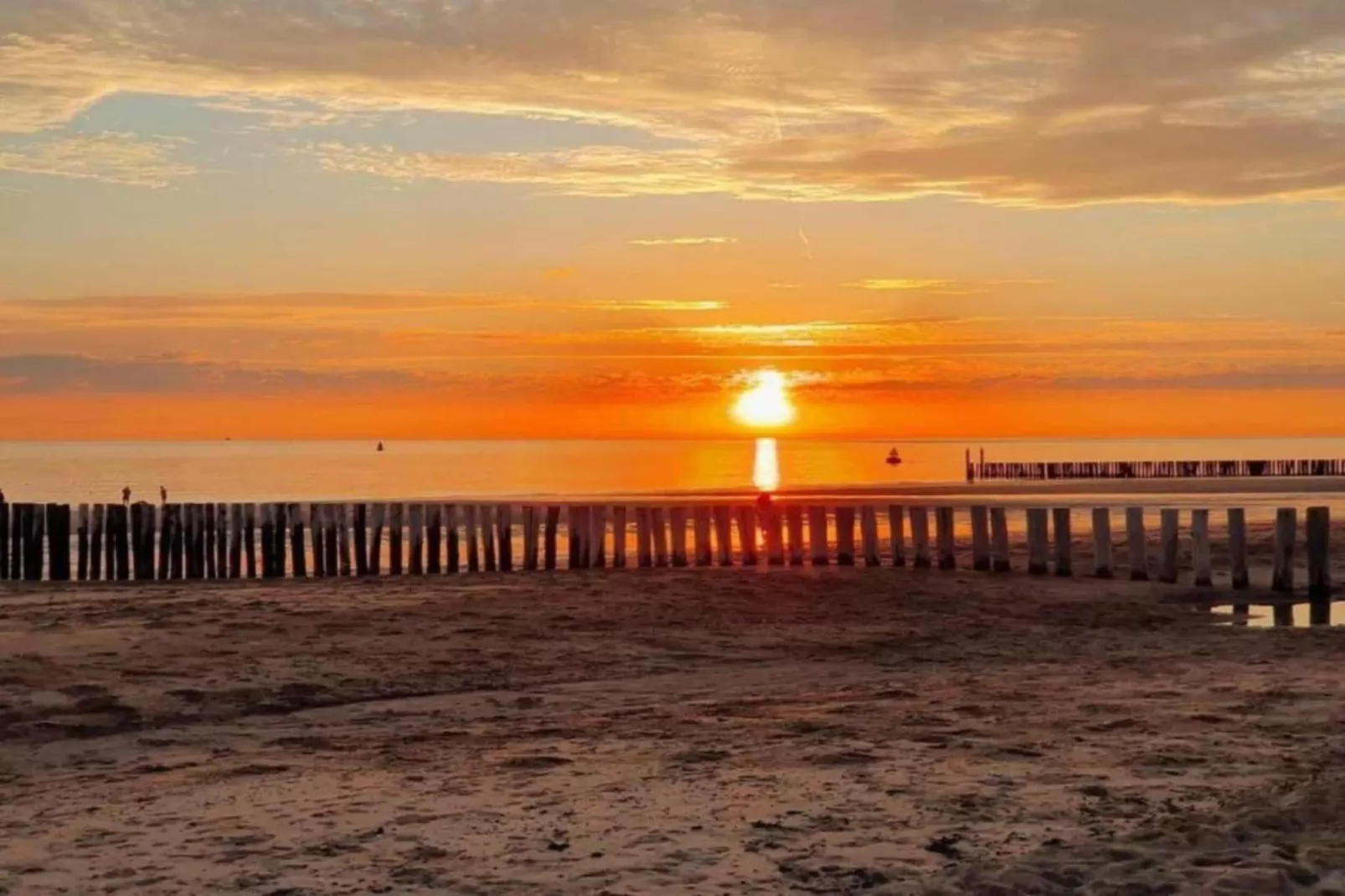 Noordzee Résidence Dishoek 14-Gebieden zomer 5km