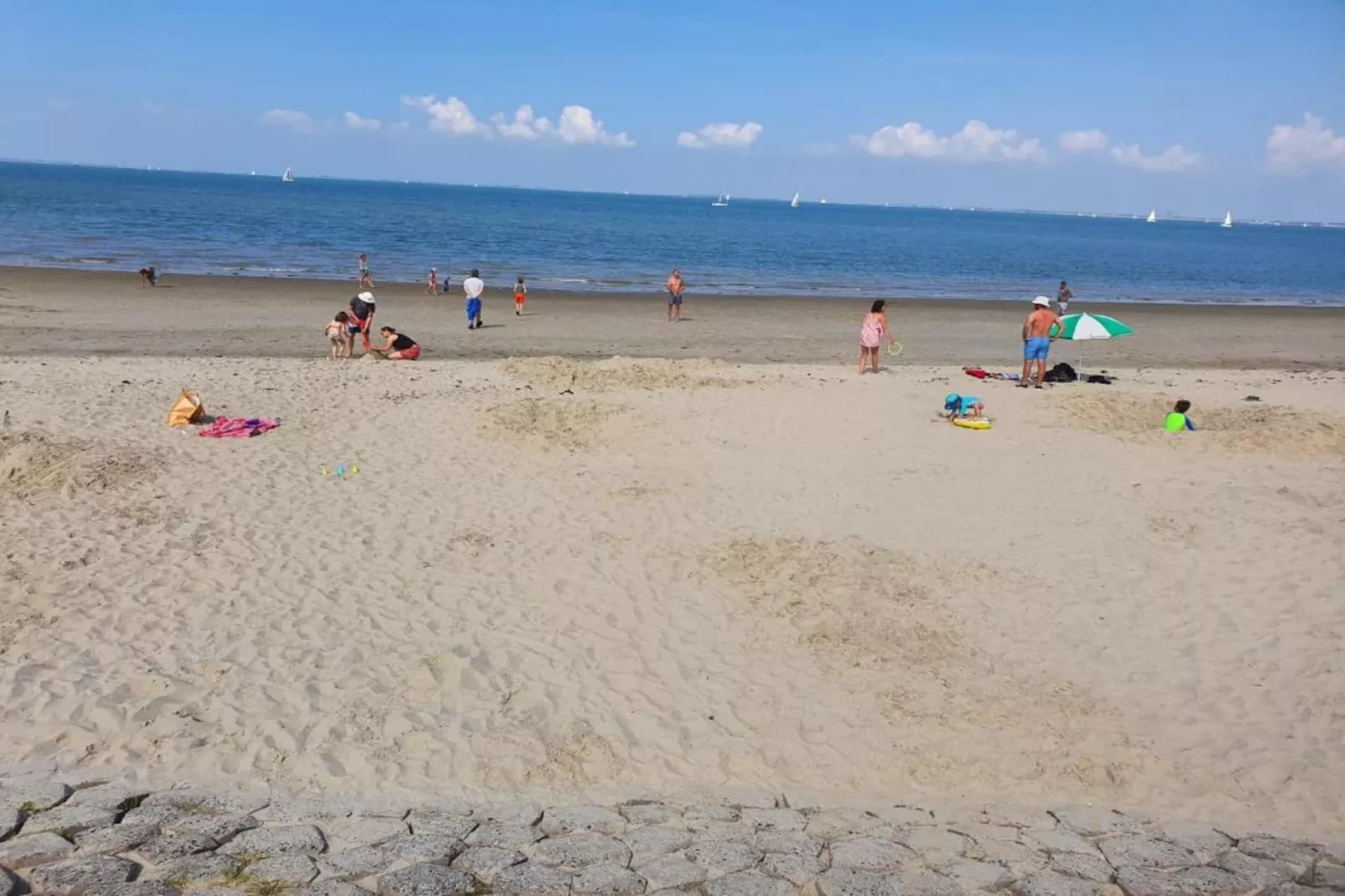 Zeeuwse Pracht - Gebieden zomer 1km