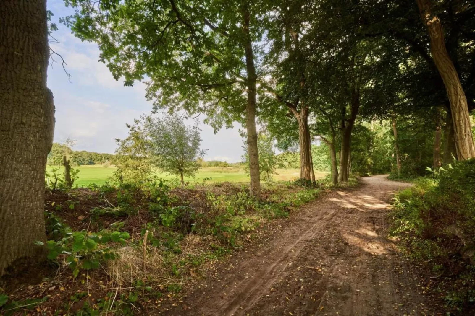 Vakantiepark de Katjeskelder 19-Gebieden zomer 5km
