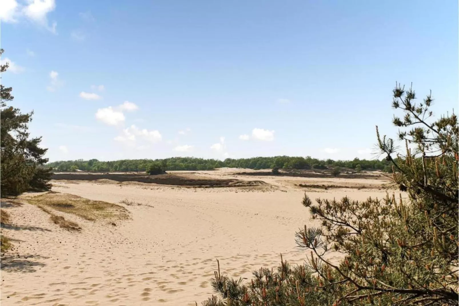 Recreatiepark Duinhoeve 1-Gebieden zomer 20km