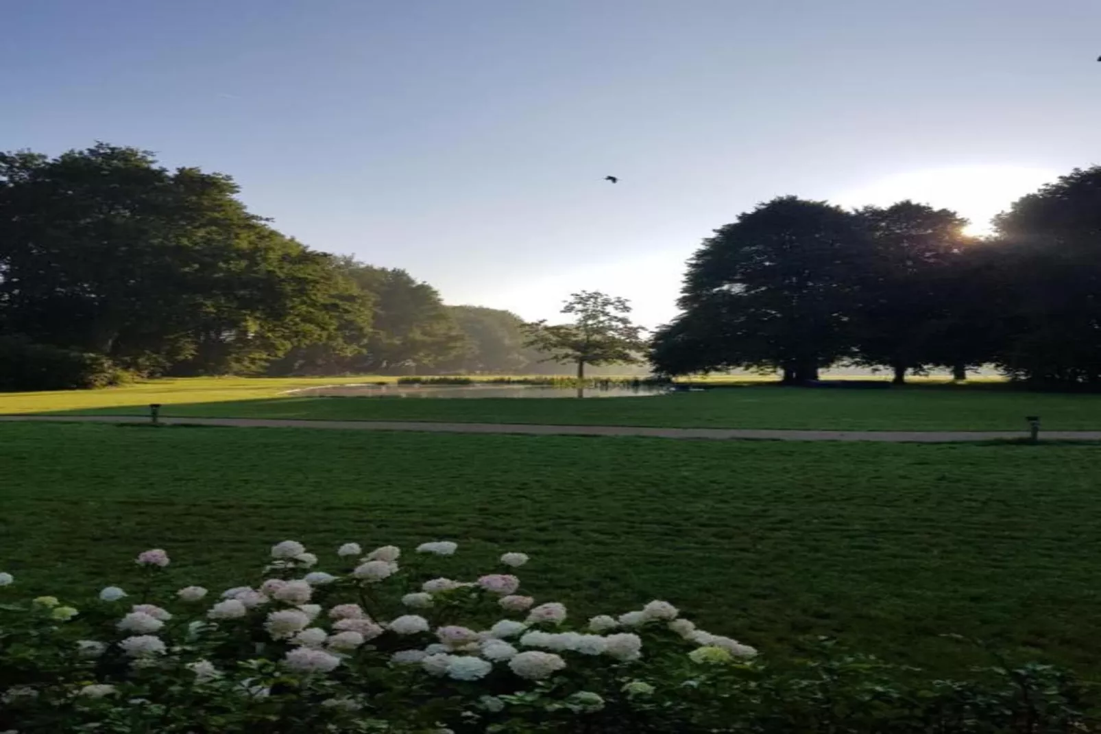 Parc de Kievit 9-Gebieden zomer 20km