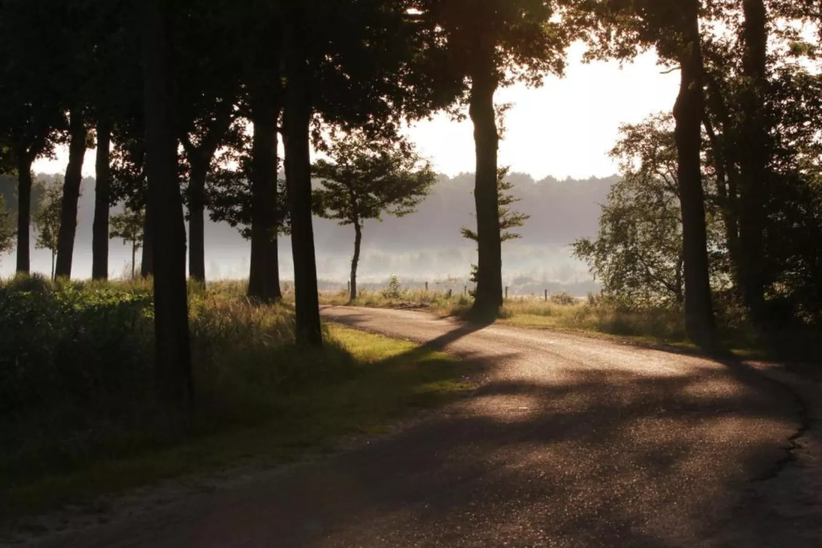 Vakantiepark De Heihorsten 3-Gebieden zomer 5km