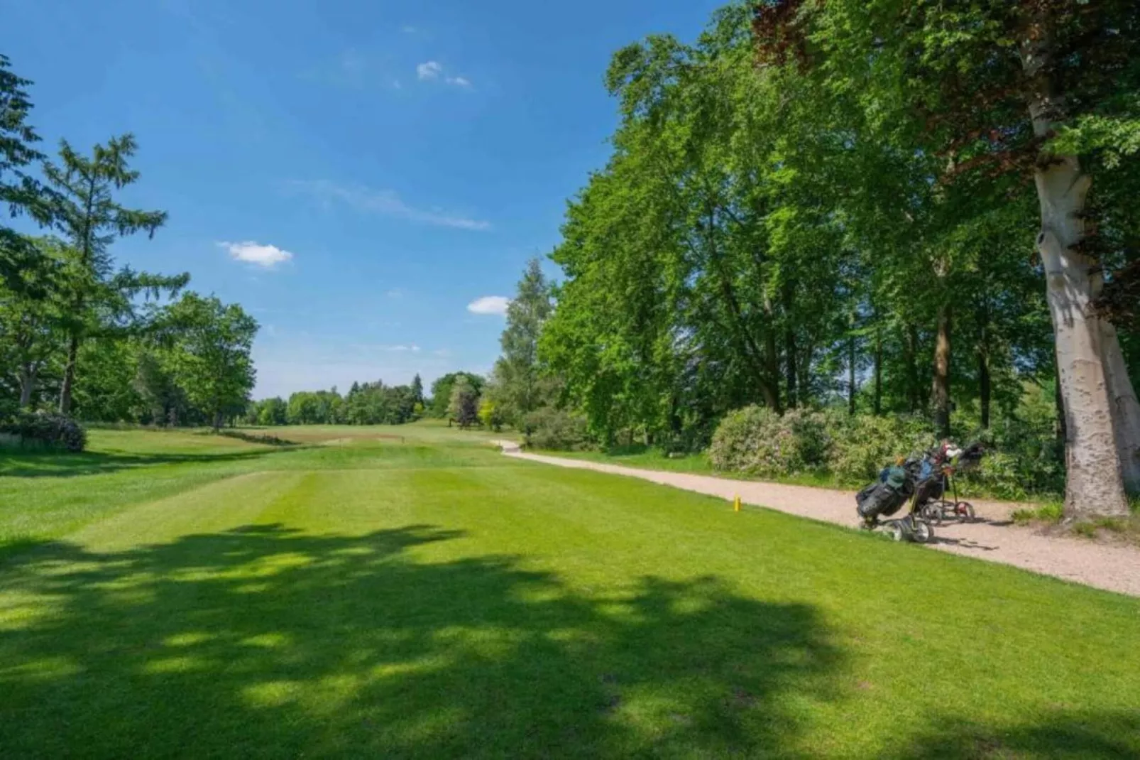 Vakantiepark Weerterbergen 5-Gebieden zomer 20km