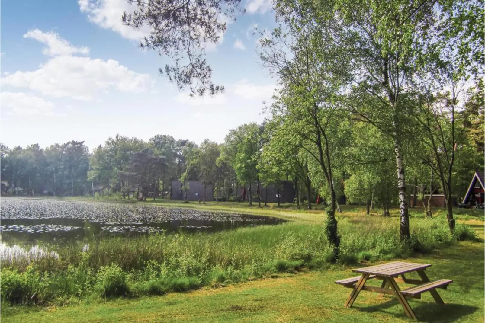 Vakantiepark Weerterbergen 8-Gebieden zomer 20km