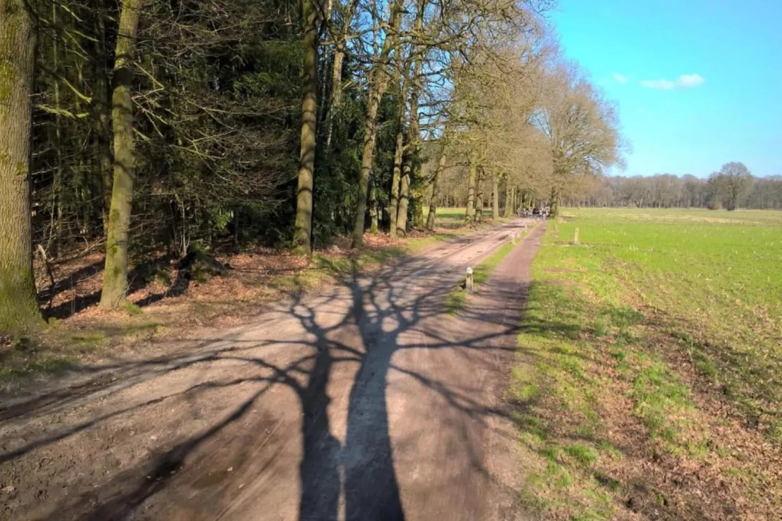 Recreatiebospark de Reehorst 2-Gebieden zomer 20km