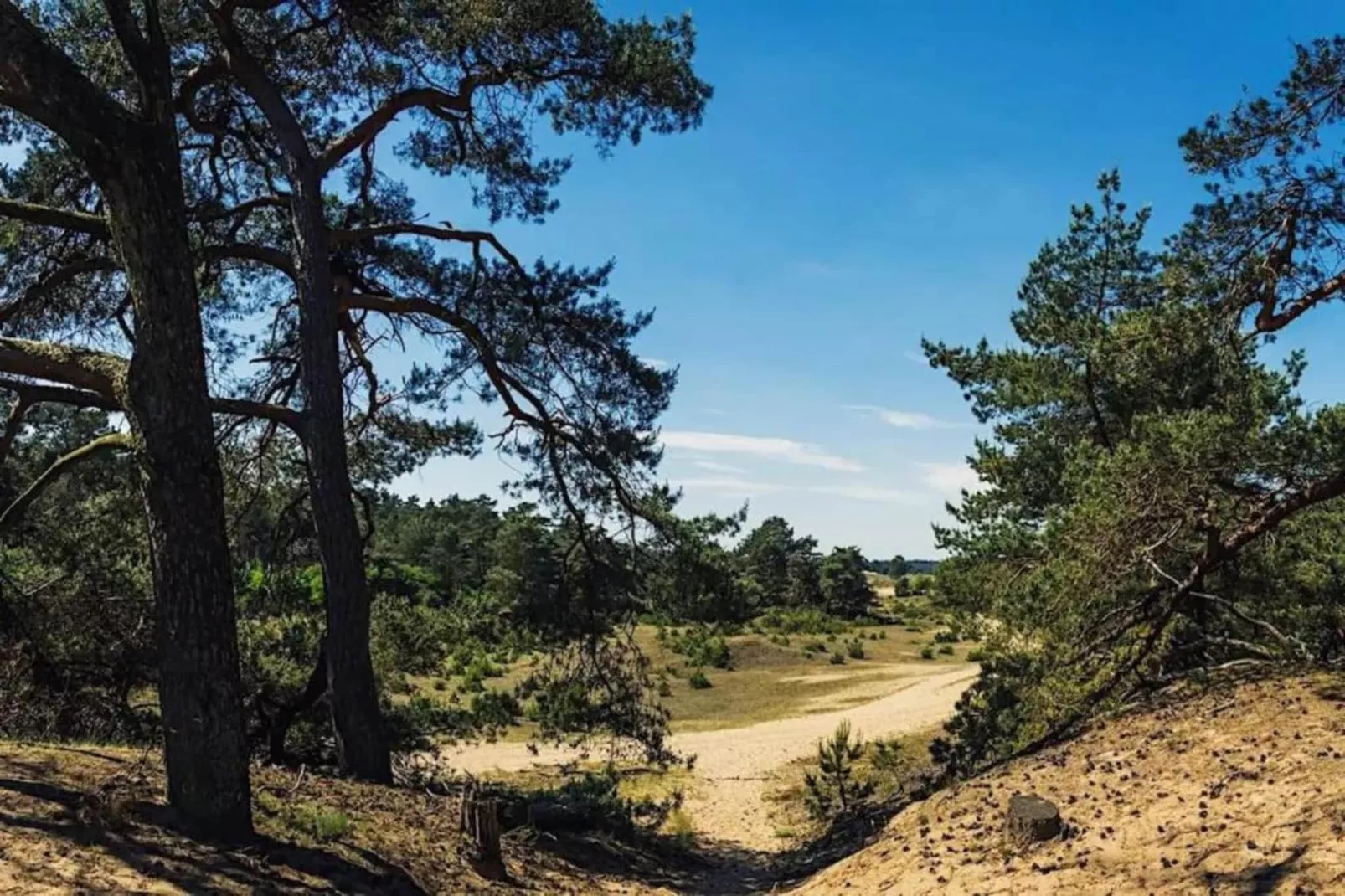 Bungalowpark Hoenderloo 3-Gebieden zomer 20km