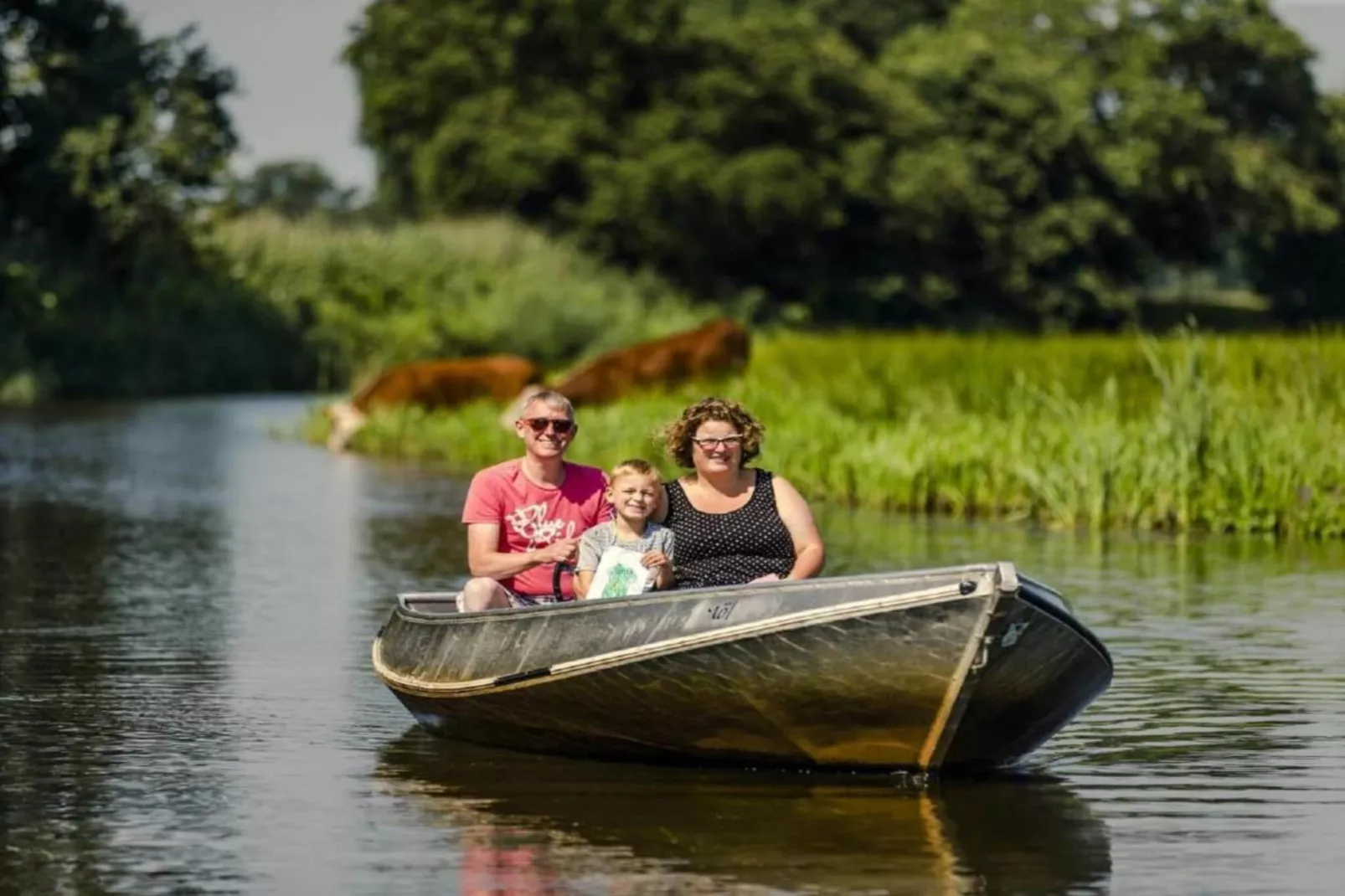 Vakantiepark Mölke 19-Gebieden zomer 20km