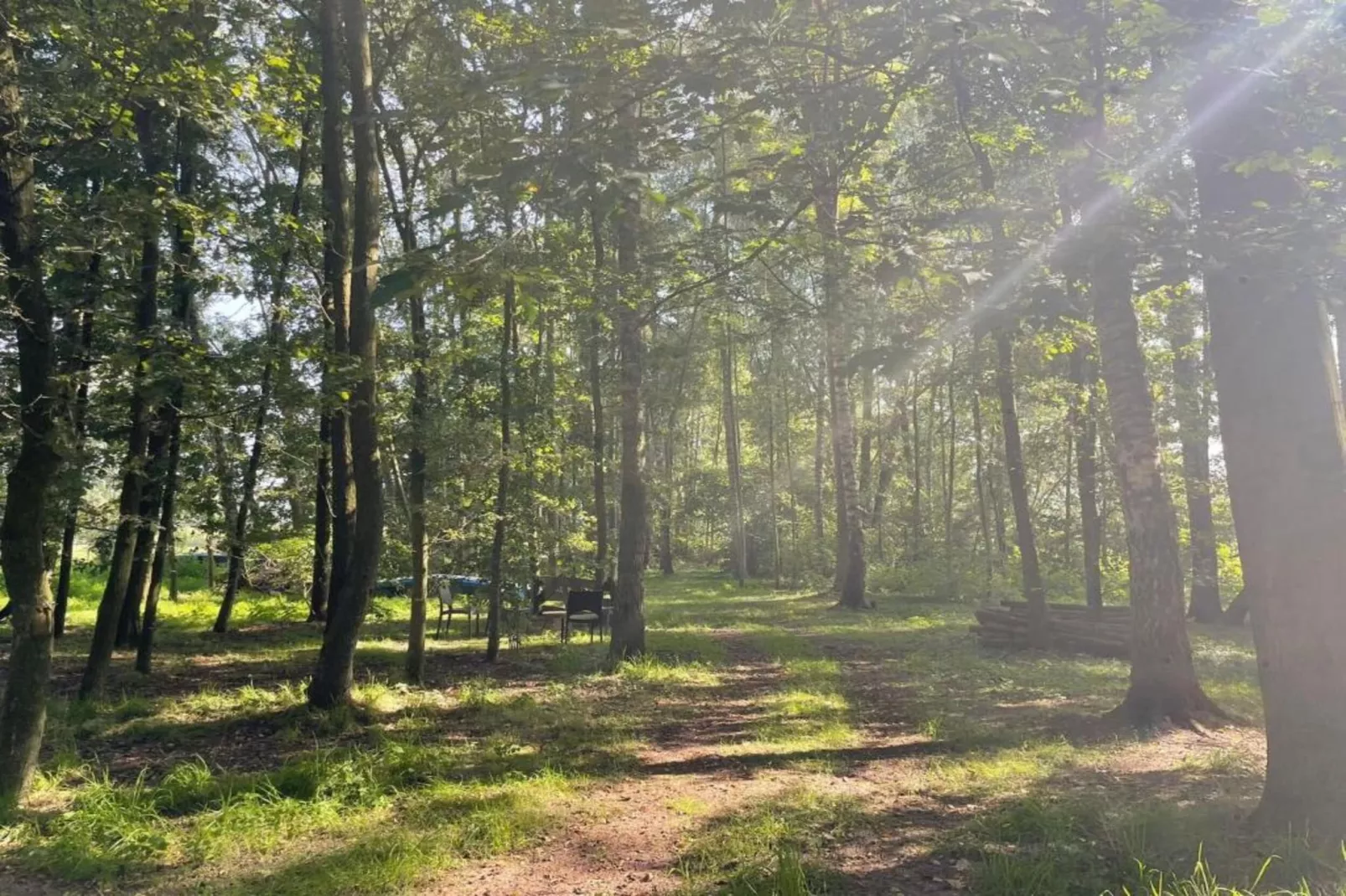 Vakantiecentrum 't Schuttenbelt 1-Gebieden zomer 20km
