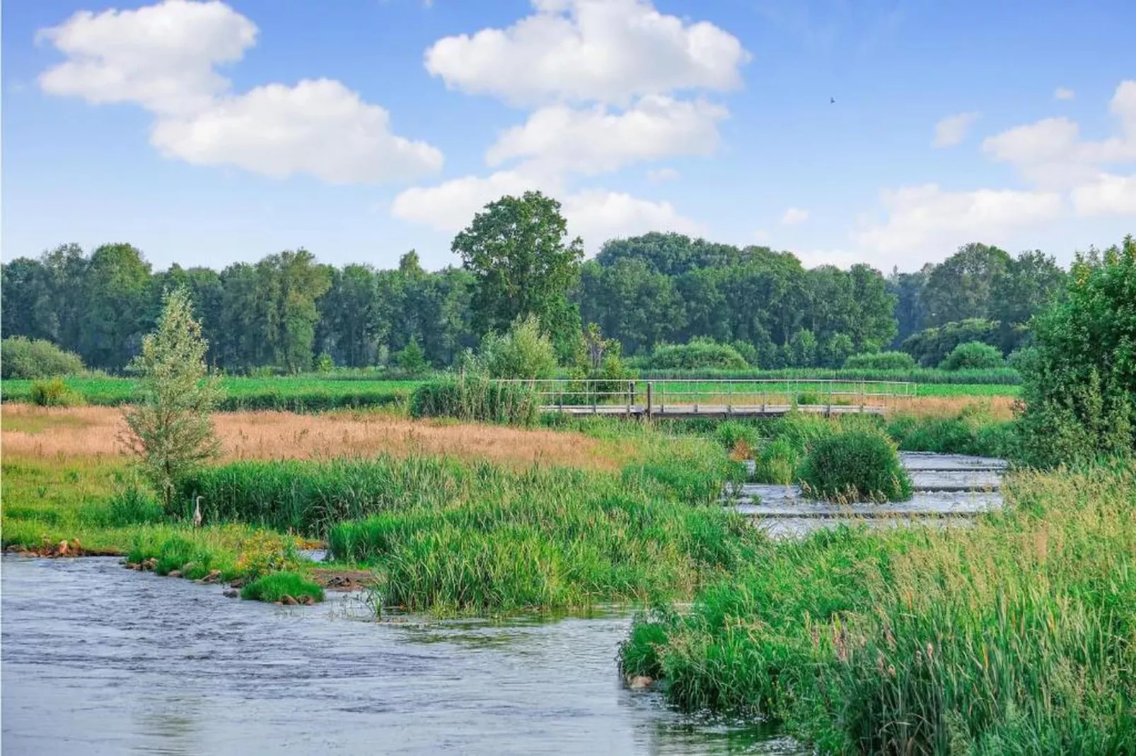 Vakantiepark Horsetellerie 4-Gebieden zomer 20km