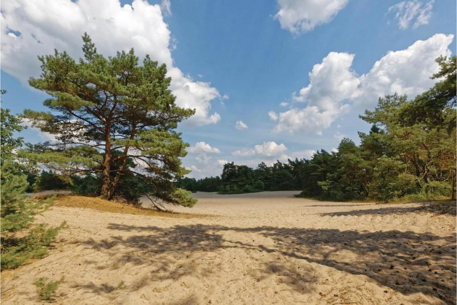 Vakantiepark Horsetellerie 1-Gebieden zomer 20km