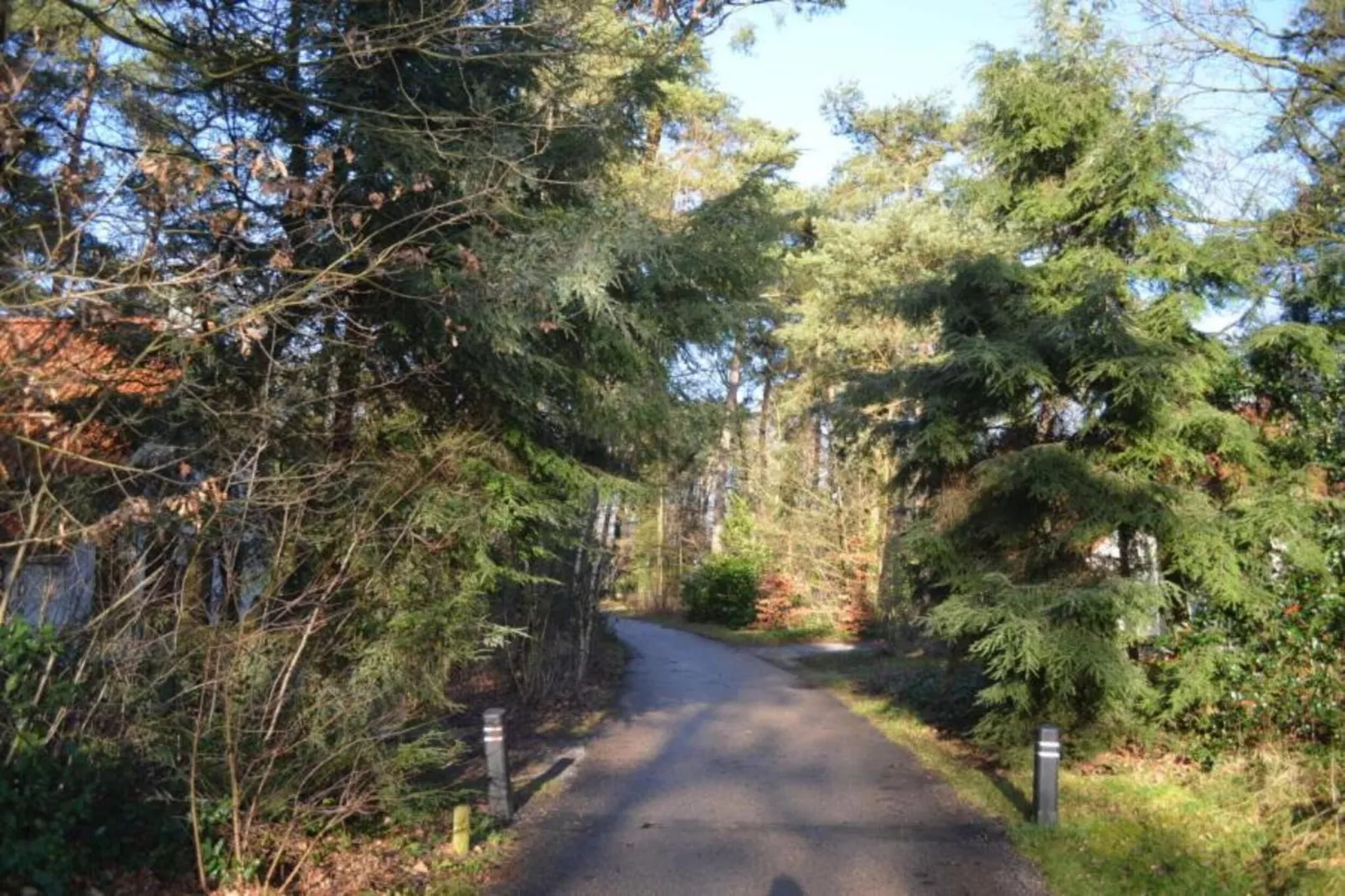 Vakantiepark de Vossenburcht 4-Gebieden zomer 20km