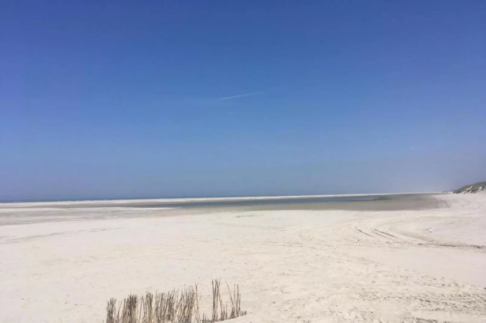 Skries-Gebieden zomer 20km