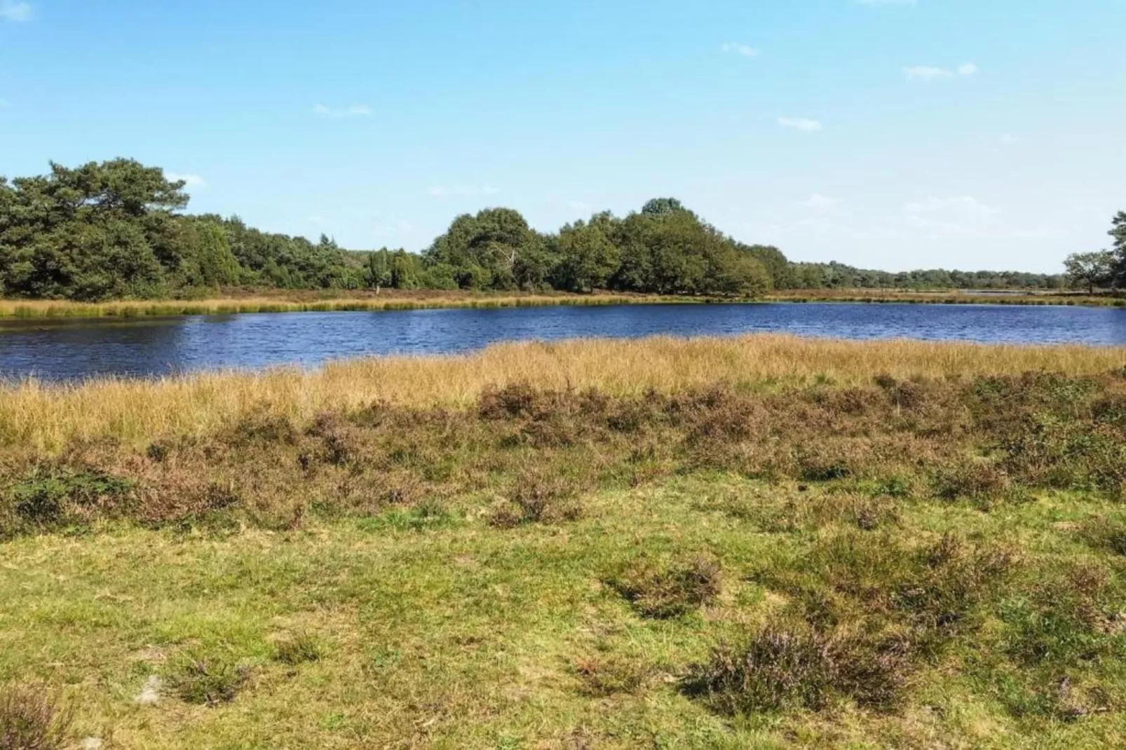 Natuurhuis Dichtbij-Gebieden zomer 5km