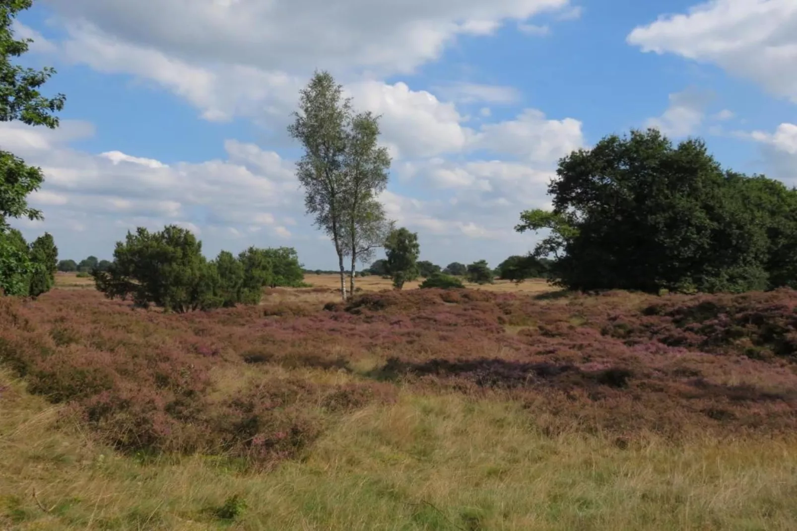 Vakantiepark Hunzedal 16-Gebieden zomer 20km
