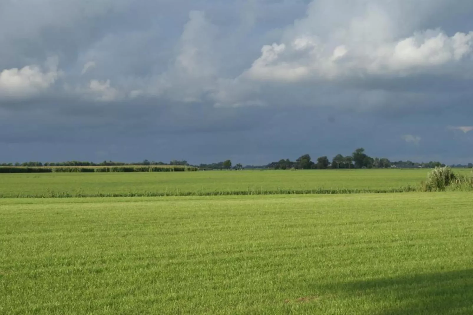 Lauwerspleats-Gebieden zomer 20km