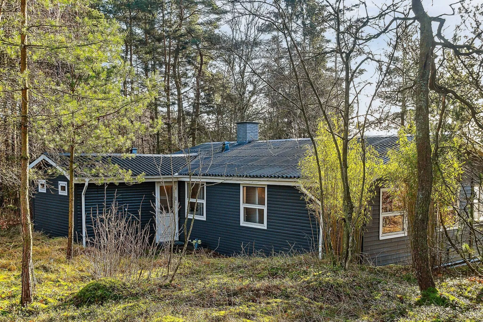 6 persoons vakantie huis in Bording-By Traum-Buitenlucht