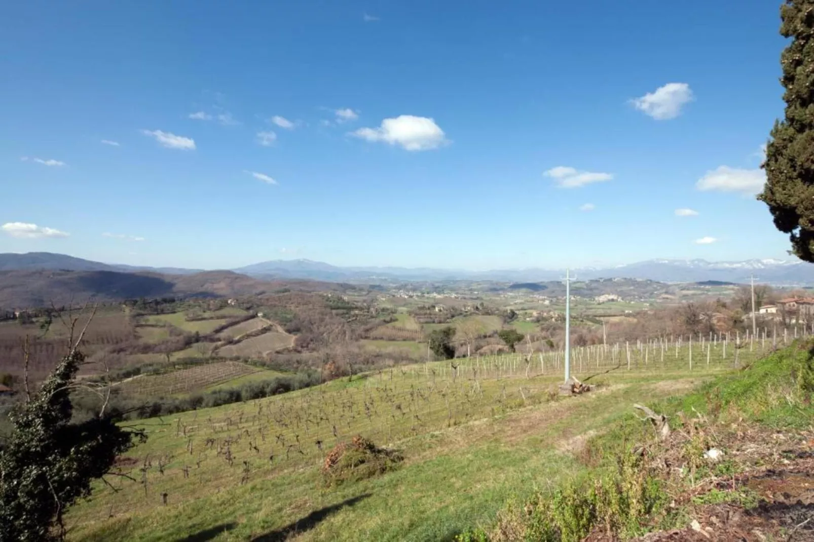 Rondine-Gebieden zomer 5km