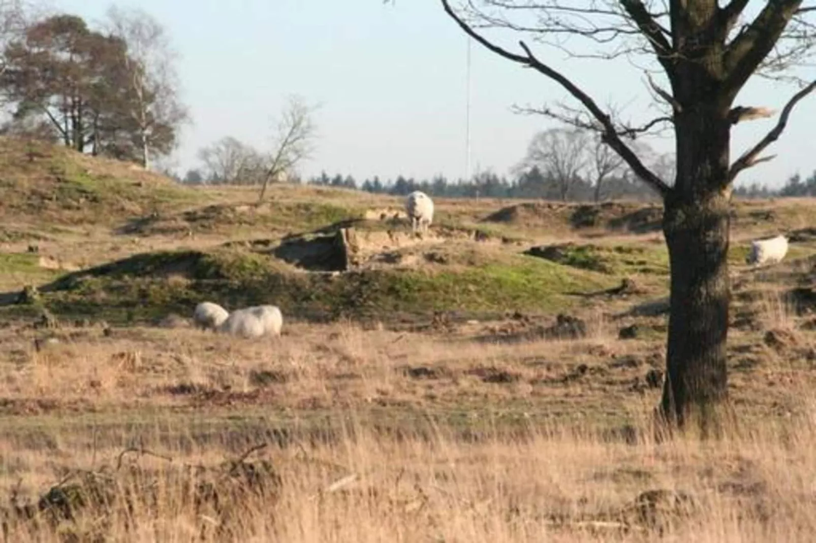 Villa Zonnewijzer-Gebieden zomer 20km