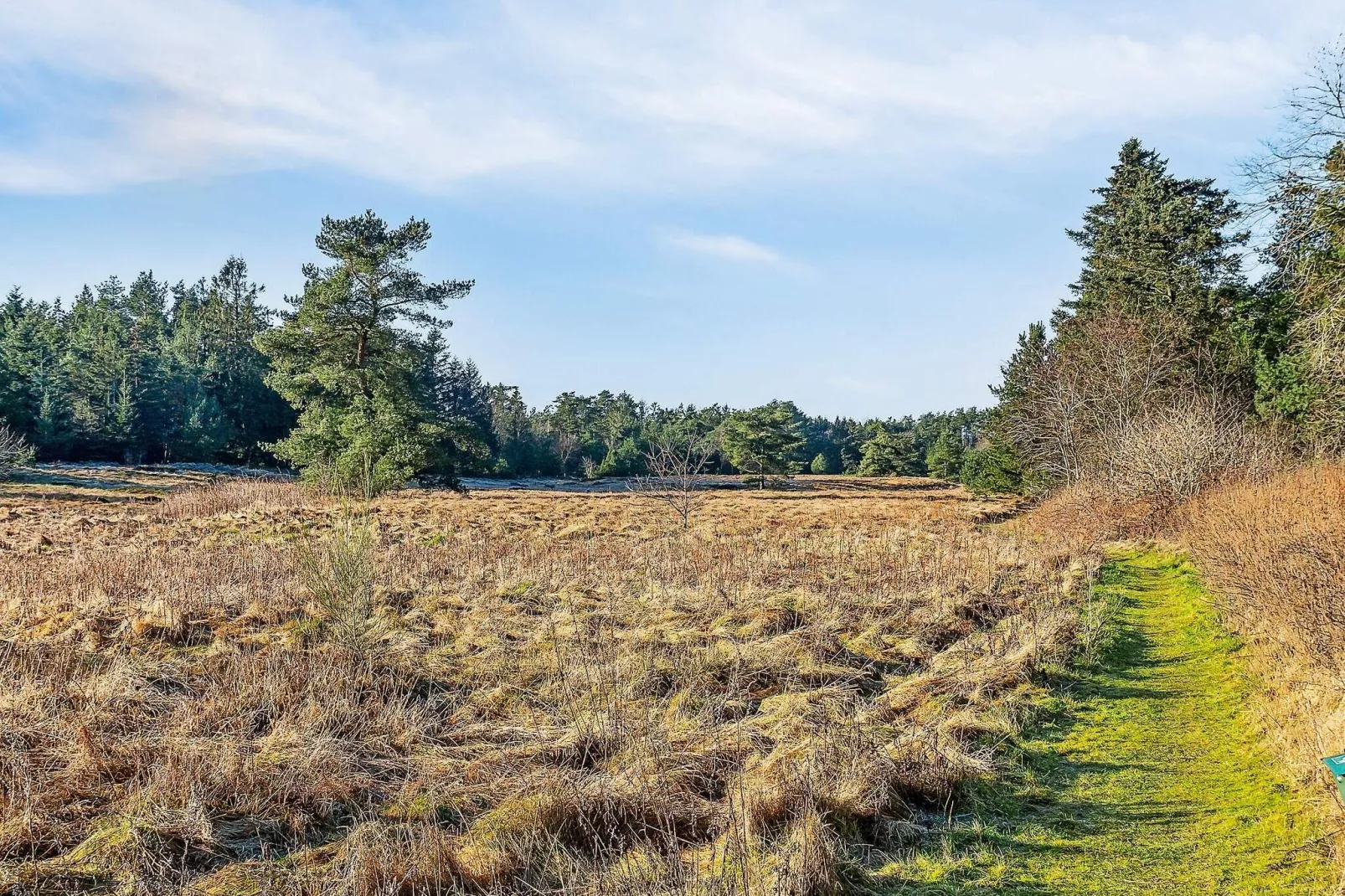 6 persoons vakantie huis in Bording-By Traum-Uitzicht