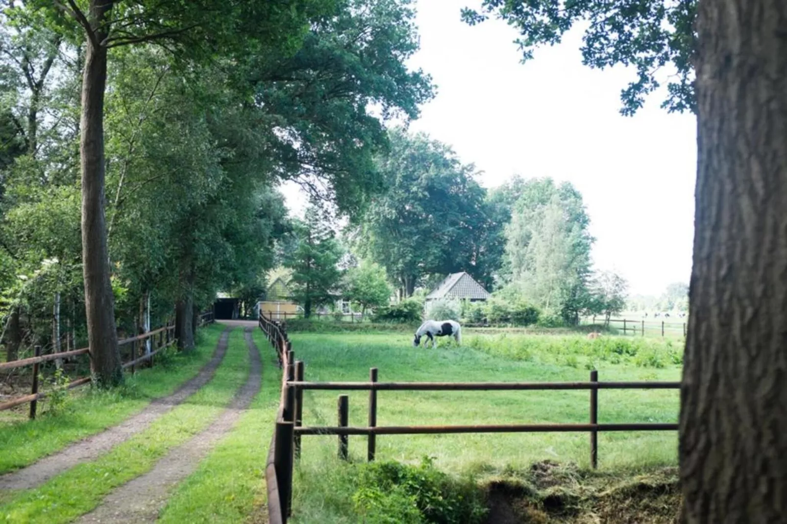 Buitenplaats Gerner 8-Tuinen zomer