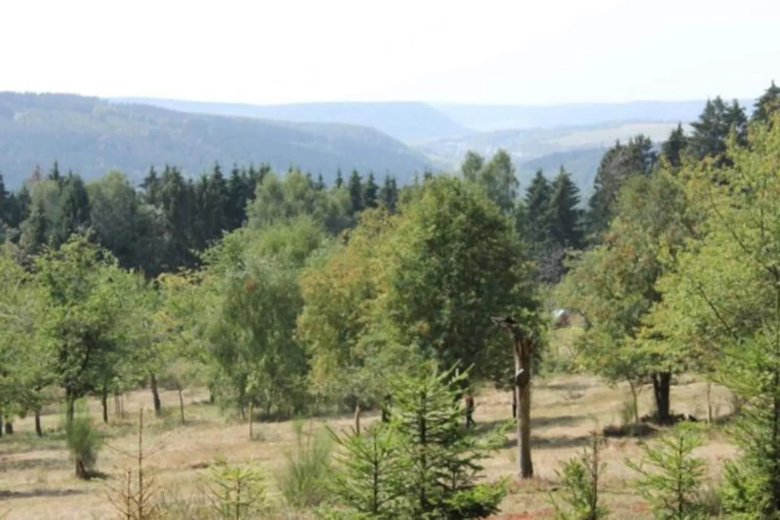 Ferienhaus Konrad-Gebieden zomer 20km