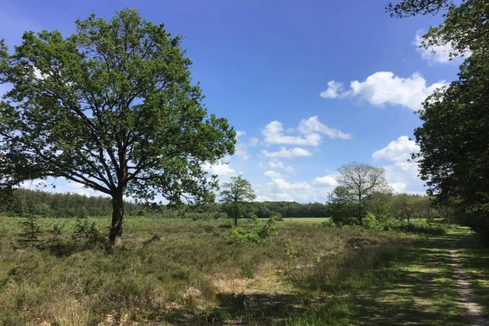 Acker Lodges 3-Gebieden zomer 20km