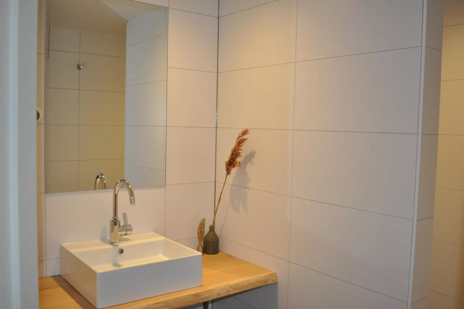 Dorpswoning De Volbloed-Badkamer