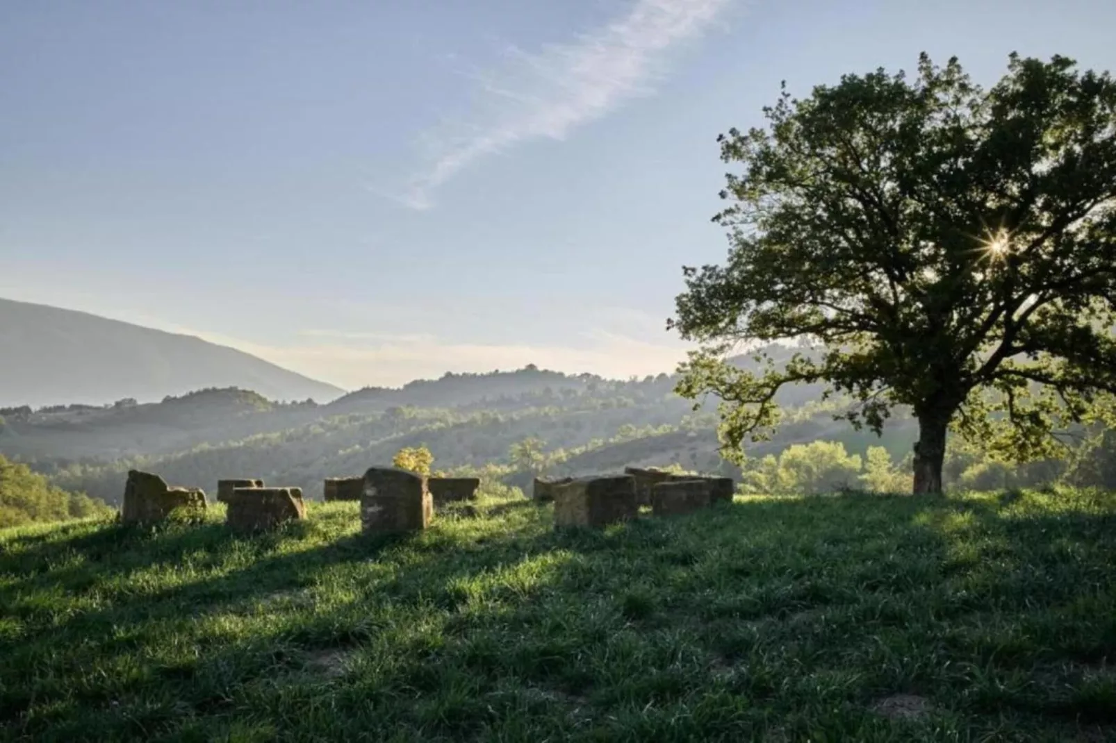 Frantoio 2-Gebieden zomer 5km