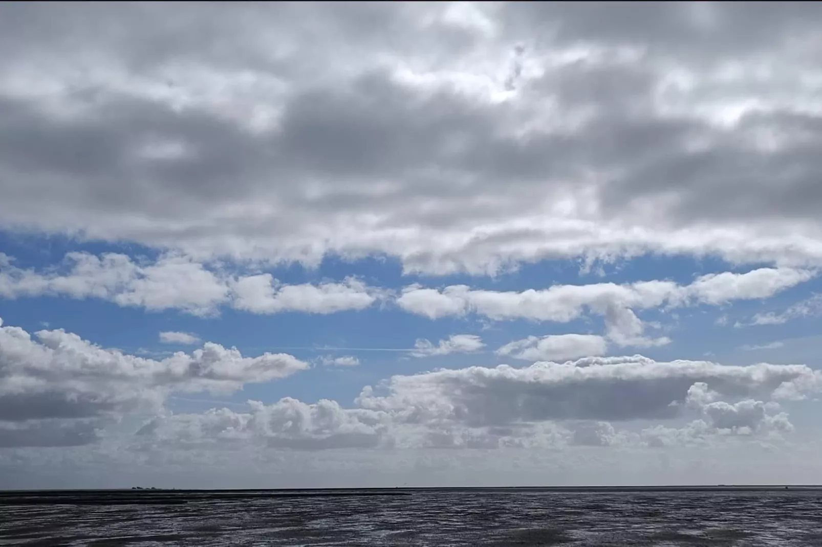 Reihenhaus Basstölpel 4 Personen-Gebieden zomer 5km